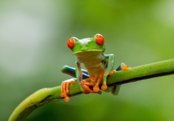 Costa Rica