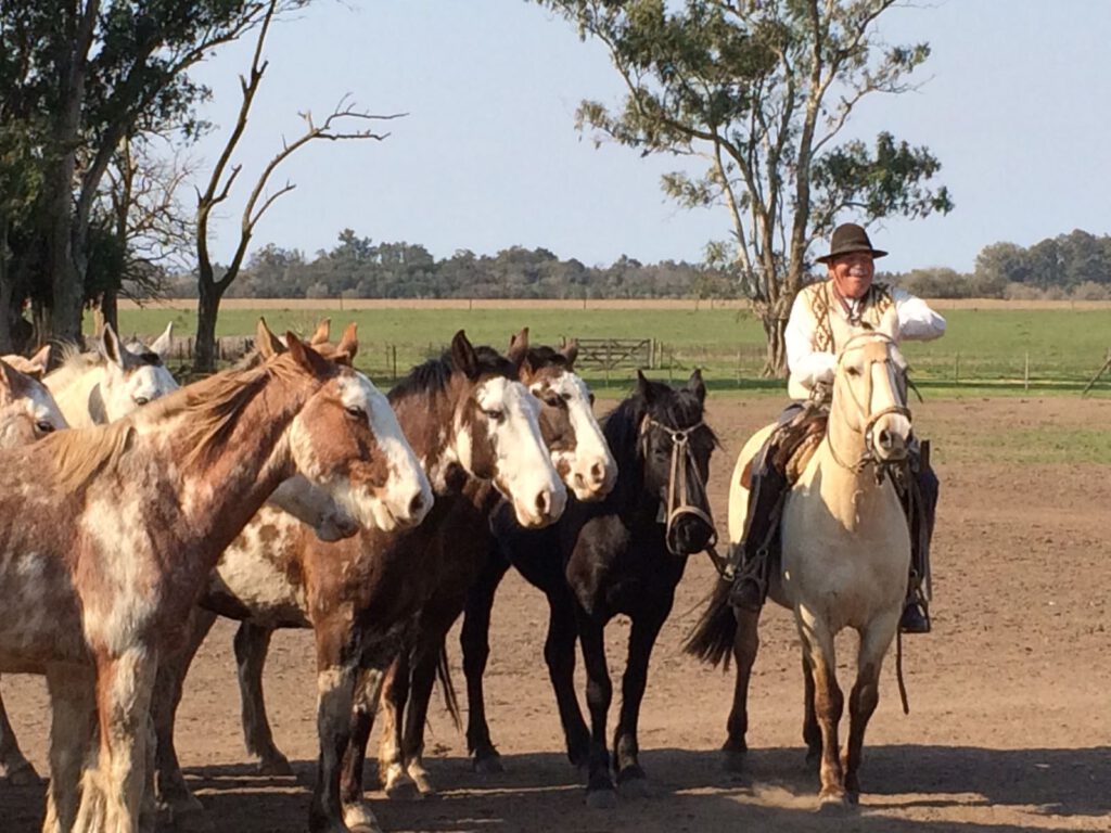 argentinie gaucho