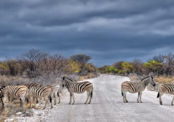 Groepsreis door Namibië, Botswana & Zimbabwe