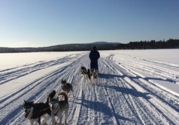 Individuele reizen naar Lapland & Scandinavië