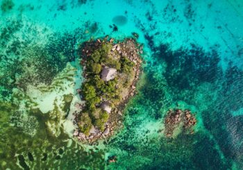 Rondreis Seychellen: de Tuin van Eden